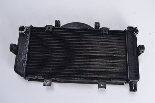 Radiatore yamaha tdm - radiatore, 900