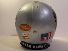 Casco da calcio Arena Football League OKC Yard Dawgz Silver Riddell VSR-4