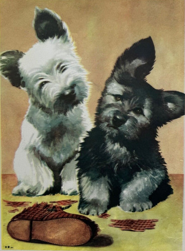 Stampa 12x9 vintage 1941 dog - 12x9,