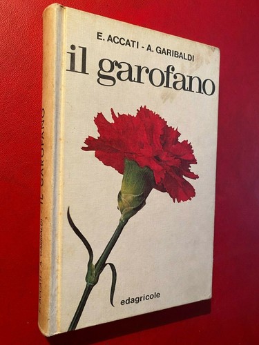 Accati garibaldi il garofano - -,