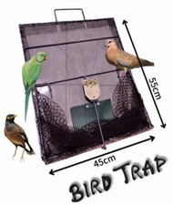 trappola per uccelli cattura rete per passeri piccioni quaglia فخ طيور