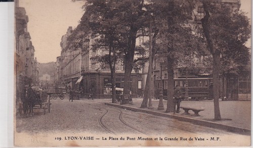 Carte postale postcard - 🦬carte,