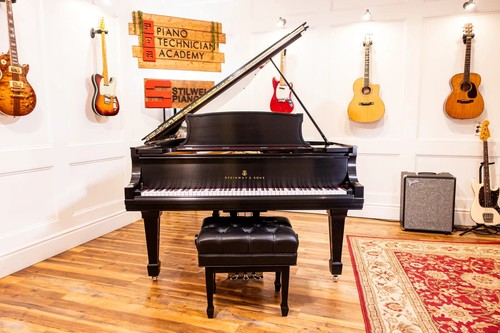 Steinway grand piano 4 - a3, 6'4"