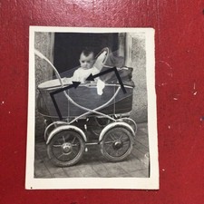 Palmi,Catanzaro,bambini,carrozzina,1957,animata,FRE757