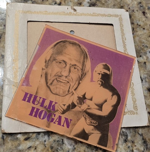 Hulk hogan quadro vetro x - quadro,