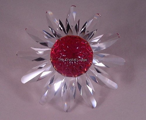 Swarovski scs rinnovo - scs,