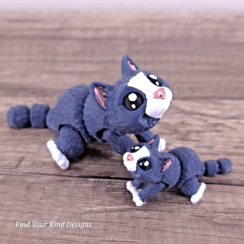 Mini gatto bambino 3d - gatto,