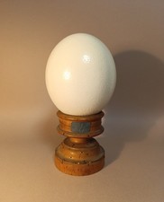 Taxidermy, Cabinet De