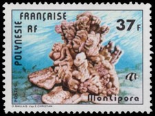 POLINESIA FRANCESE 312 (Mi277) - Corallo "Montipora" (pa17541)