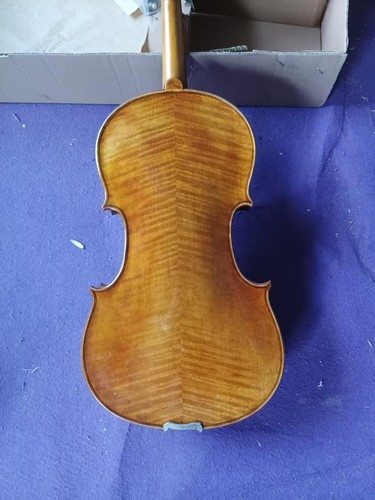Viola europea legno - legno, 16
