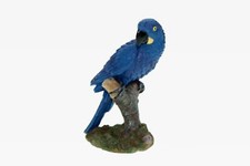 Poly Giacinth Ara altezza 9 cm