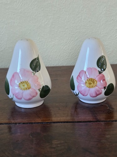 Saliere poivriere villeroy - poivriere,