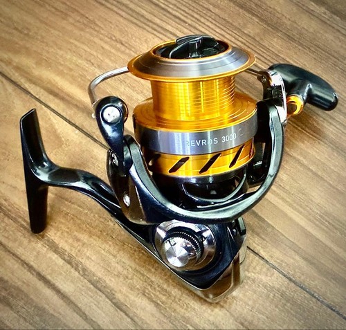 Mulinello spinning daiwa - spinning,
