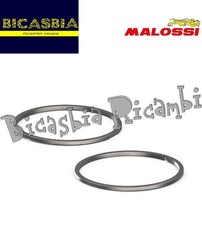 21290 - SEGMENTI FASCE MALOSSI