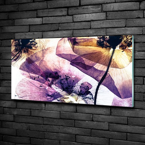 Tulup pittura vetro - su,