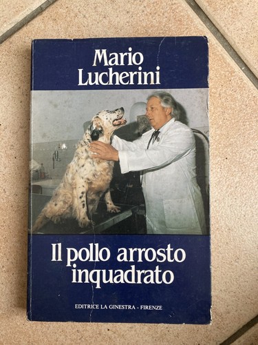 Pollo arrosto inquadrato - pollo,