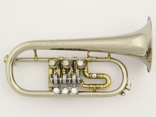 Mario corso flicornino mib - corso,
