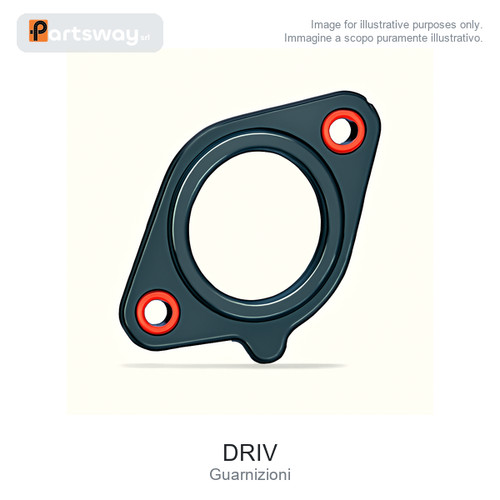 Driv payen guarnizione fiat - driv,
