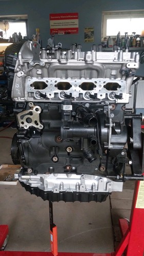 Motore dnp golf viii - golf,