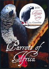 Gambia 2011 Pappagalli d'Africa, pappagallo grigio, uccellini, natura, fauna selvatica m/s MNH