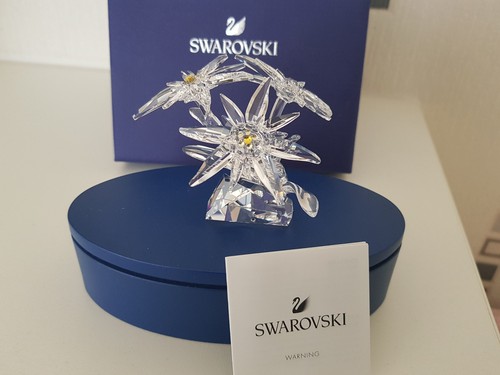 Swarovski scs 2020 - scs, 'edelweiss'