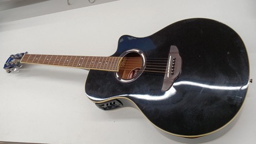 Chitarra elettrica acustica
