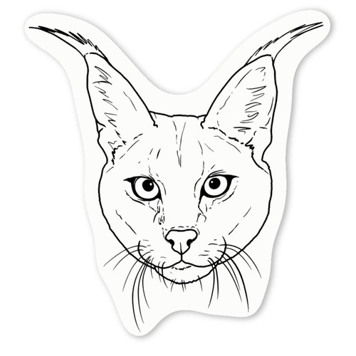 Adesivi decalcomania caracal - adesivi,