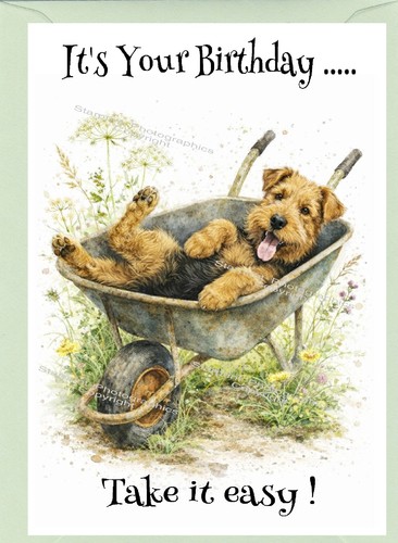 Biglietto compleanno cane - biglietto, di