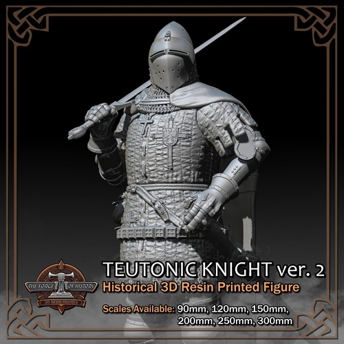 Cavaliere teutonico ver - 2,