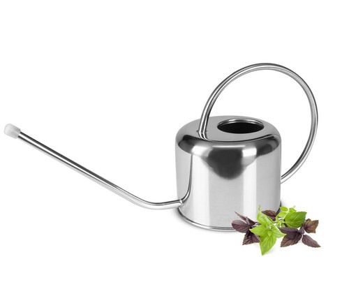 Annaffiatoio acciaio inox 1 - annaffiatoio,