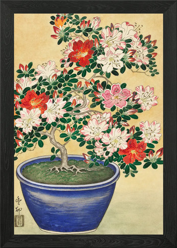 Quadro bonsai azalea con - quadro,