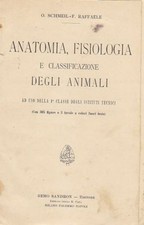 ANATOMIA FISIOLOGIA E CLASSIFICAZIONE DEGLI ANIMALI di Schmeil e Raffaele libro