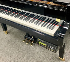 Yamaha PianoSoft Canti