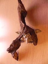 elfi folletti corteccia legno