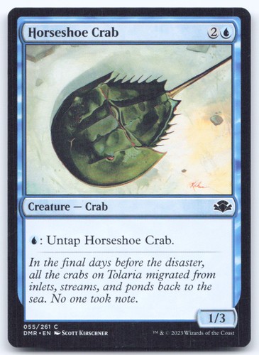 T169 horseshoe crab 055 - crab, 055/261