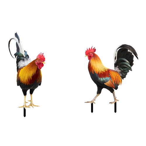 Set statue gallo in - di,