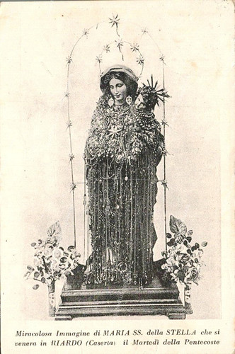 Dl292 cartolina maria - dl292,