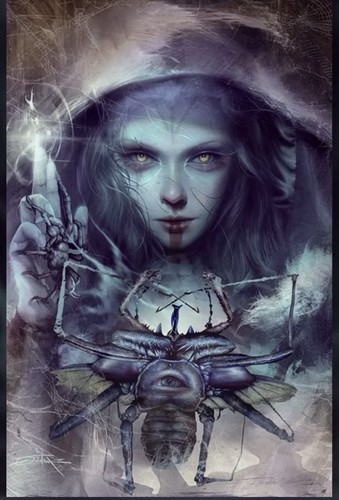 Don kill spiders 1 - #1,