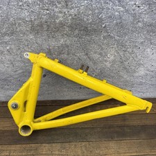 Gary Fisher Joshua forcellone