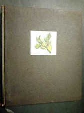 Morlotti Ennio. Agenda Olivetti 1975. Olivetti. 1974