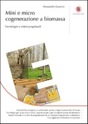 Mini micro cogenerazione - micro, a