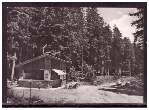 Cartolina foresta campigna - cartolina,