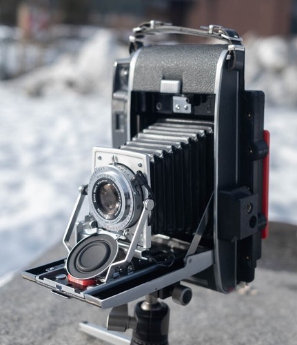 Polaroid 110a 120 800 - polaroid,