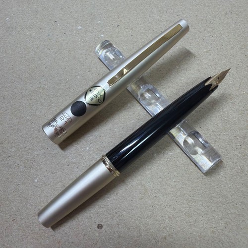 Penna stilografica sailor - penna,