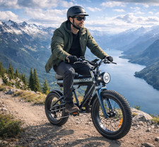Bicicletta Elettrica Toofly 20