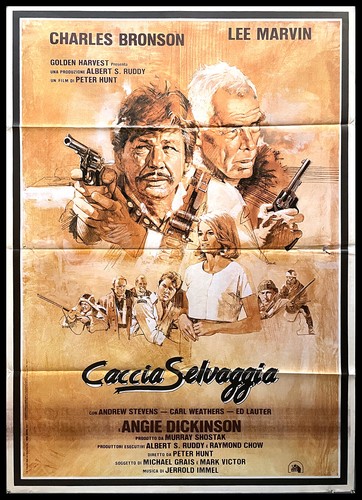 1980 manifesto 2f cinema - manifesto,
