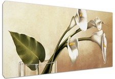 Quadro Moderno Arredamento Fiori CALLE in vaso Arte Arredo Casa Stampa su Tela