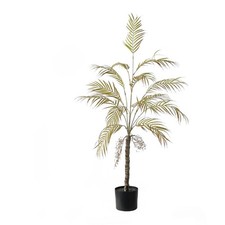 Zstar Palma artificiale, 120
