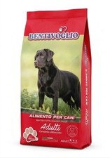 Bentivoglio 30-20 Adult Power