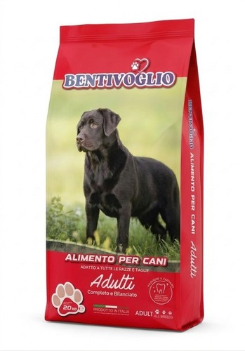 Bentivoglio adult power - bentivoglio, 30-20